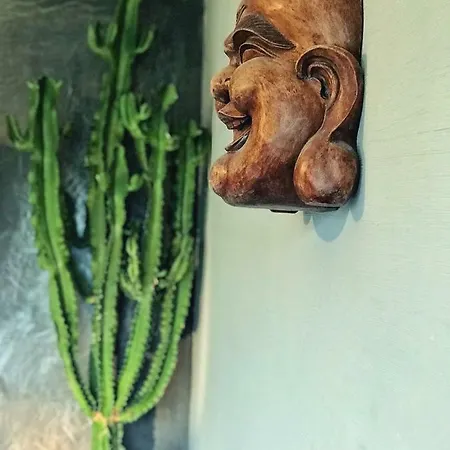 Apartment Cactus Biosphere
