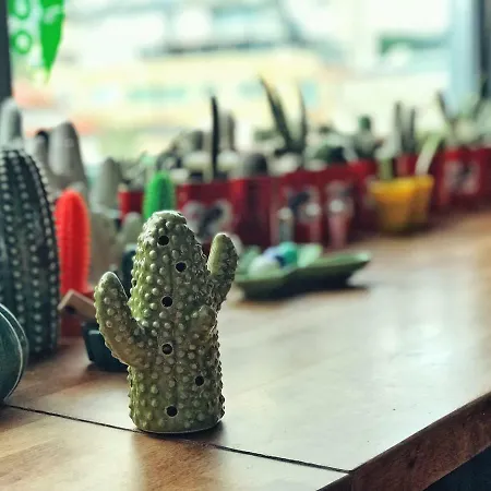 Cactus Biosphere * Sofia