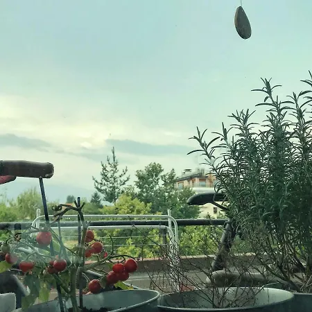 Apartment Cactus Biosphere