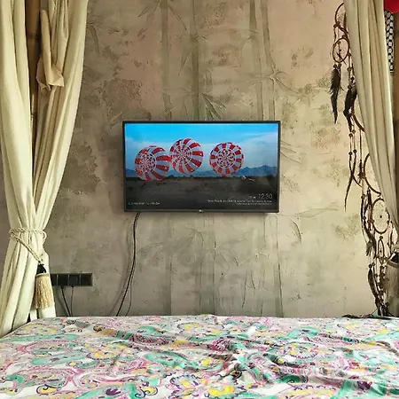 Cactus Biosphere Apartment